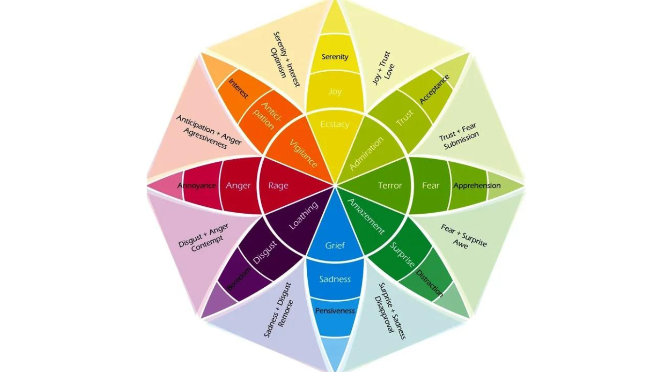 A wheel of emotions which includes 8 fundamental emotions,; sadness, joy, anger, fear, surprise, admiration, terror, and amazement, and then emotions that stem from those.